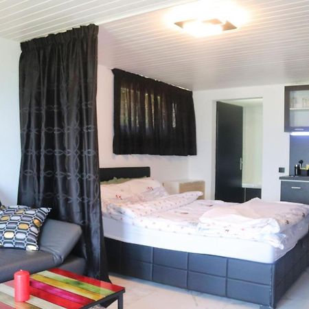 Apartament La Lapia Monthey Zewnętrze zdjęcie